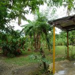 Ein kleiner Bauernhof in der Dominikanischen Republik, welchen wir besucht haben. Dort konnten wir Kaffee, Kakao, Bananen, etc. in ihrer Rohform kennenlernen.