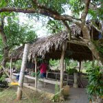 Holzhütte auf dem Bauernhof in der dominikanischen Republik. Dort konnte wir die Rohform von Kaffee, Kakoa & Bananen kennenlernen.