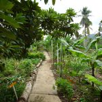 Ein kleiner Bauernhof in der Dominikanischen Republik, welchen wir besucht haben. Dort konnten wir Kaffee, Kakao, Bananen, etc. in ihrer Rohform kennenlernen.