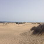 Dünen von Maspalomas (Gran Canaria)