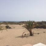 Dünen von Maspalomas (Gran Canaria)