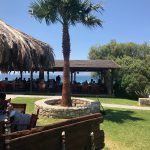 Tam Tam Beach Bar (Insel Kos)